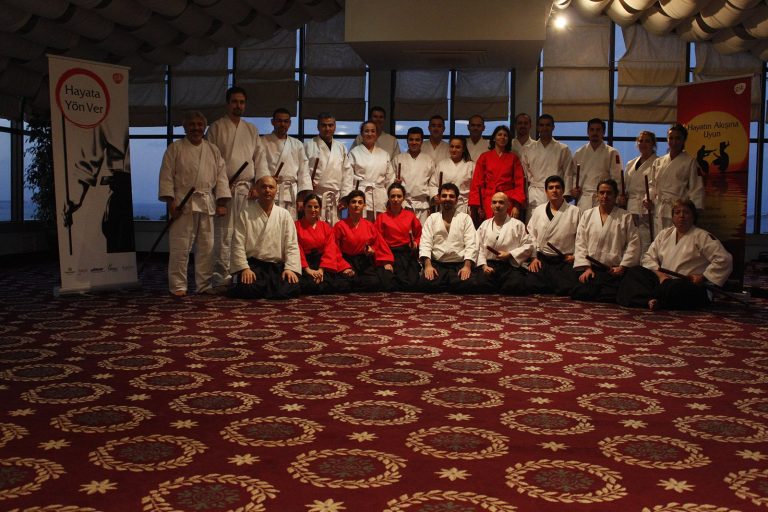 aikimodegsk3