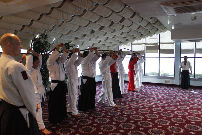 aikimodegsk5