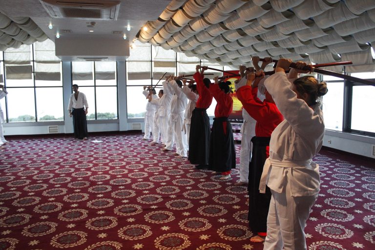 aikimodegsk6