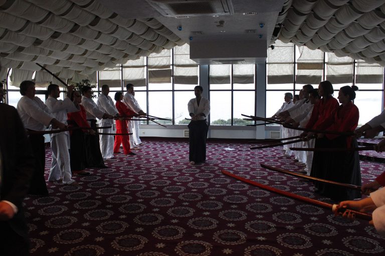 aikimodegsk7