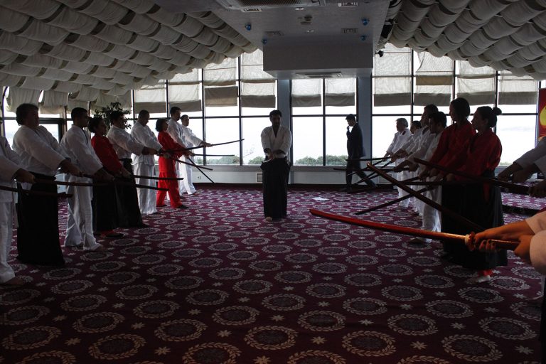 aikimodegsk8
