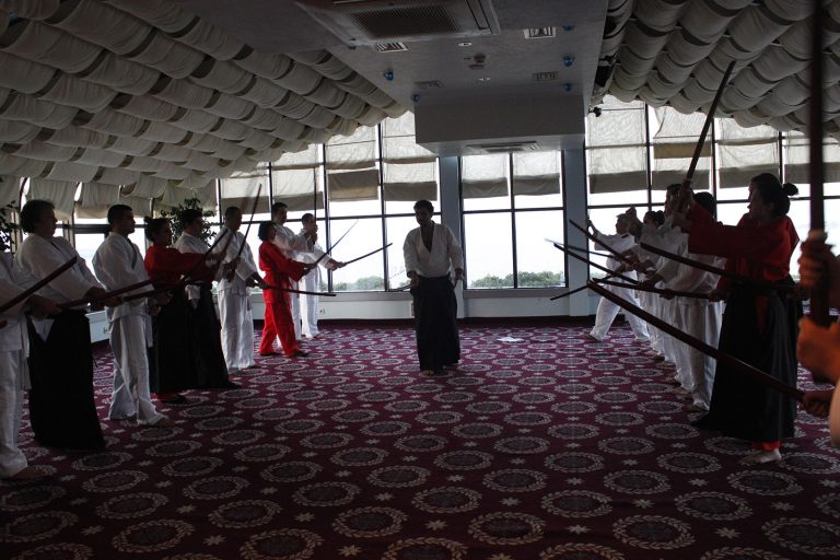 aikimodegsk9