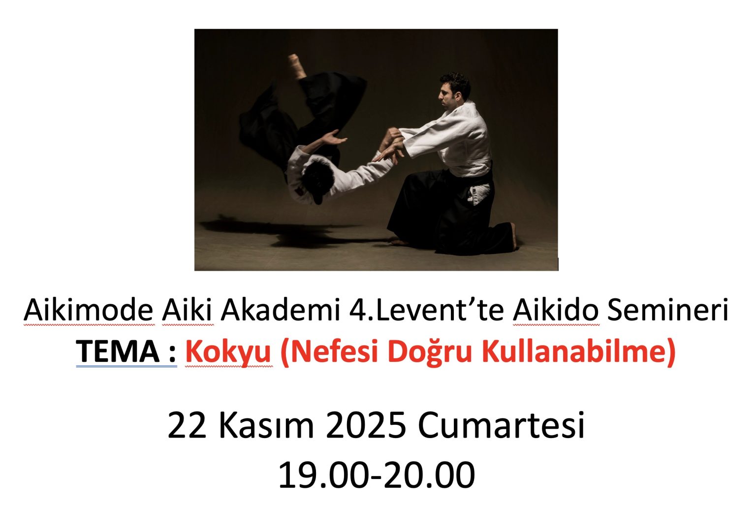 Aikimode Tema Semineri ”Kokyu” Kasım 2025